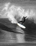 BEASTIE EPOXY PRO - SKY FCSII