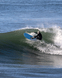 BEASTIE EPOXY PRO - SKY FCSII