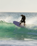 BEASTIE SUPER SOFT -  BABY PINK FCSII